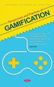 Perspectives and Practices of Gamification