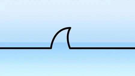 Wireshark: A Comprehensive Guide to Network Analysis