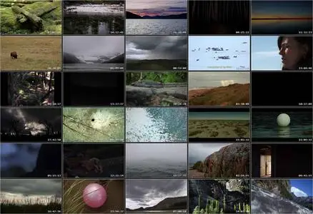 The National Parks Project (2011)