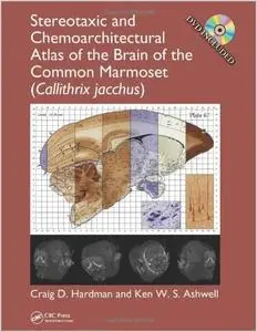 Stereotaxic and Chemoarchitectural Atlas of the Brain of the Common Marmoset