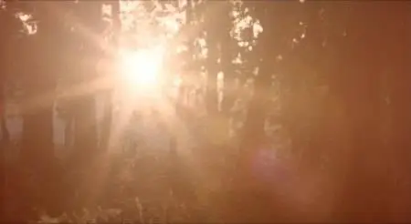 Nuri Bilge Ceylan-Mayıs sıkıntısı ('Clouds of May') (1999)