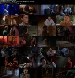 The Attic Expeditions (2001) 