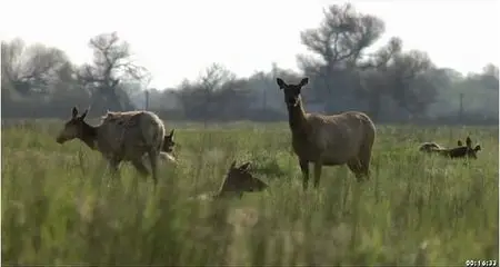 Last Call at the Oasis (2011)