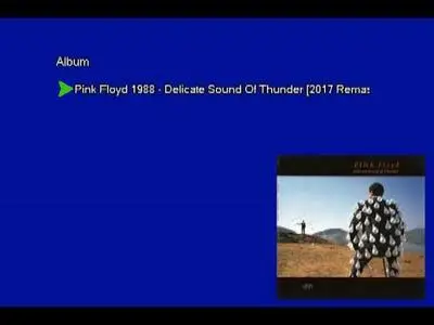 Pink Floyd - Delicate Sound Of Thunder (1988) [2017, Remastered, Vinyl Rip 16/44 & mp3-320 + DVD] Re-up