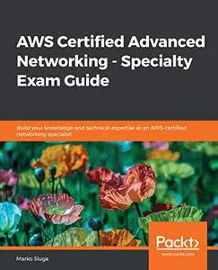 AWS Certified Advanced Networking - Specialty Exam Guide (Repost)