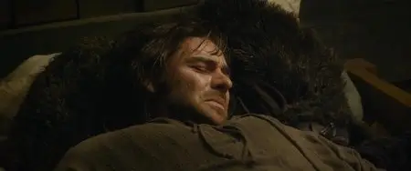 The Hobbit: The Desolation of Smaug (2013)