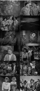 Rookies in Burma (1943)