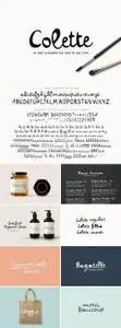 CreativeMarket - Colette Font Collection 2966170