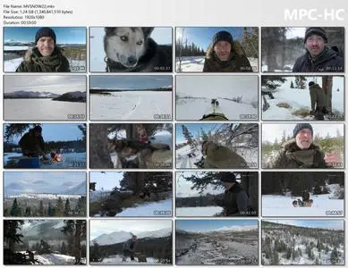 BBC - Snow Dogs: Into the Wild (2022)