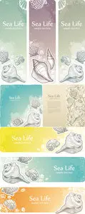 Sea & Seashells Vector