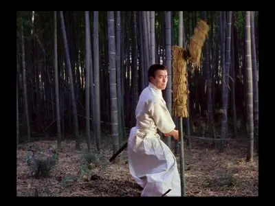 Budo: The Art of Killing (1979)