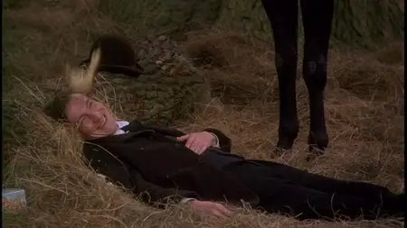 Black Beauty (1994)