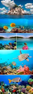 Stock Photo - Underwater World