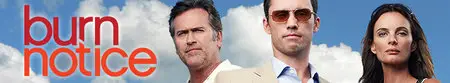  Burn Notice S07E01 (2013)