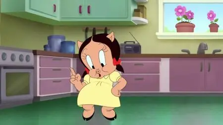 Looney Cartoons S05E29