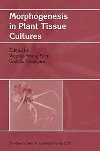 Morphogenesis in Plant Tissue Cultures