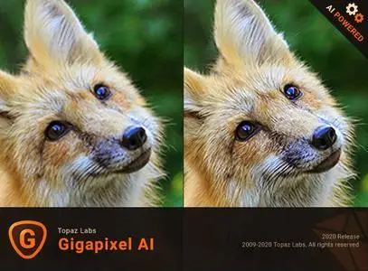 Topaz Gigapixel AI 6.2 (x64)