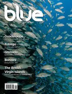 Blue Magazine - January 01, 2013