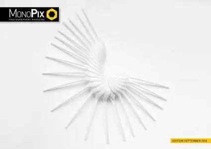 Monopix - September 2016