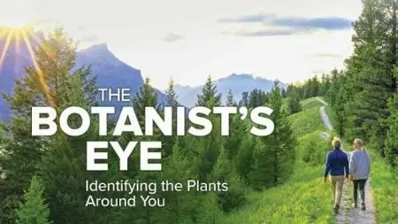 TTC - The Botanist’s Eye: Identifying the Plants around You