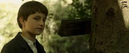 A Tale of Love and Darkness (2015)