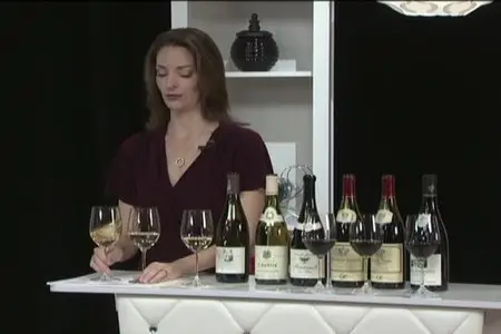 TTC Video - The Everyday Guide to Wines of France