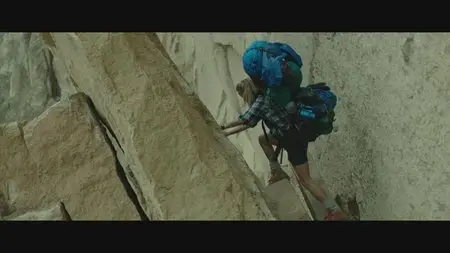 Wild / Дикая (2014)