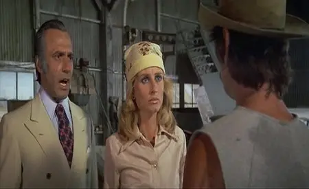 Breakout (1975)