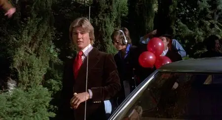 The Mechanic (1972)