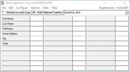 ElectraSoft Multi Clipboard 22.03.01