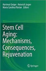 Stem Cell Aging: Mechanisms, Consequences, Rejuvenation (Repost)