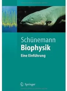 Biophysik: Eine Einführung