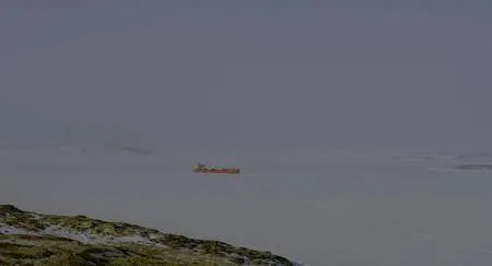 Wonders of the Arctic (2014)