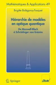 Brigitte Bidegaray-Fesquet, "Hiérarchie de modèles en optique quantique"