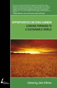 Opportunities Beyond Carbon: Looking Forward to a Sustainable World