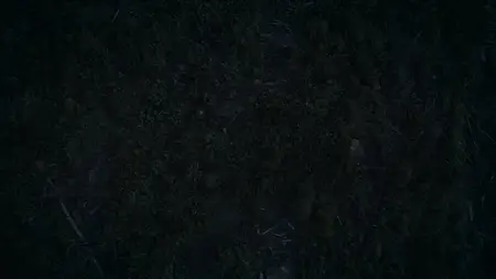 Accident.Suicide.Or.Murder.S05E15.1080p.WEB.H264-CBFM S05E15