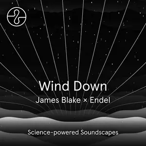 James Blake - Wind Down (2022) [Official Digital Download 24/96]