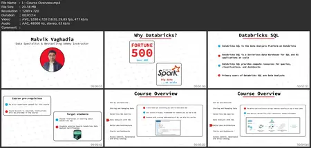 Databricks Sql For Data Analysts