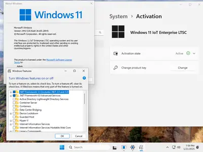Windows 11 IoT Enterprise LTSC 24H2 Build 26100.2894 (No TPM Required) Preactivated Multilingual January 2025
