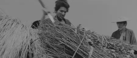 Samurai Wolf (1966)
