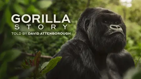 A Gorilla Story: Told by David Attenborough (2026) [MultiSubs]