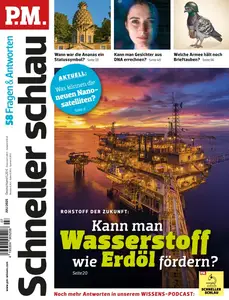 P.M. Fragen & Antworten - Juli 2025