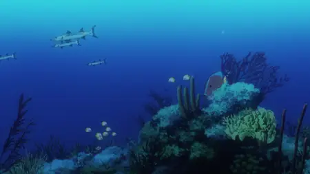 Space Brothers (2012 S02E31 Space Family Dekinai