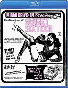 Secrets of Sweet Sixteen (1973)  [Dual Audio] + Commentary