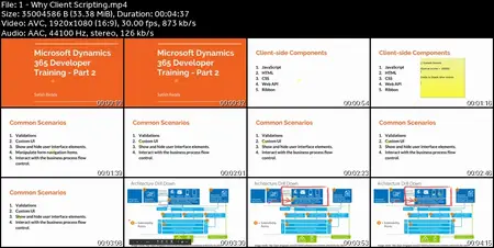 Microsoft Dynamics 365 & PowerApps Developer Course - Part 2
