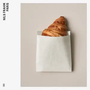 Nils Frahm-Paris (2024) [Official Digital Download 24/96]