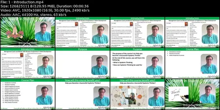 Master in Systems Thinking