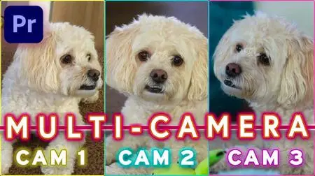 Edit Multiple Cameras Easily in Premiere Pro Using Multicam!