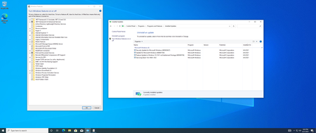 Windows 10 Version 21H1 Build 19043.1052 Business & Consumer Editions