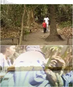 The Mirror Boy (2011)